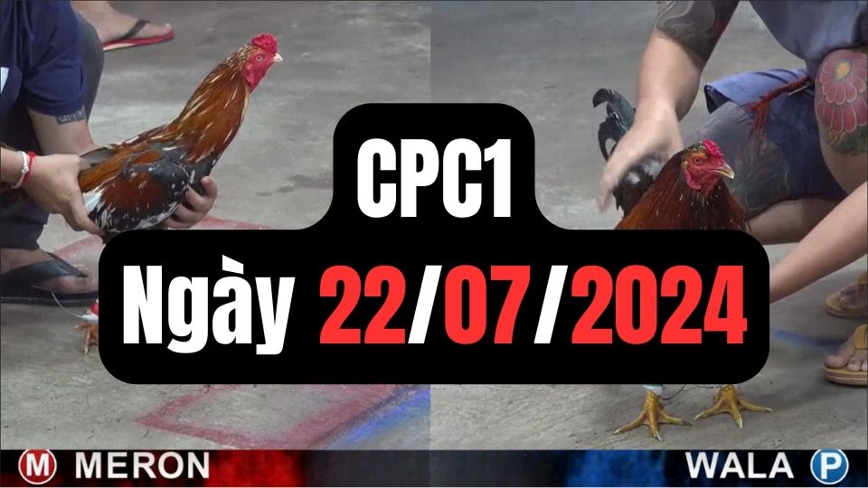 Đá gà thomo CPC1 ngày 22/07/2024
