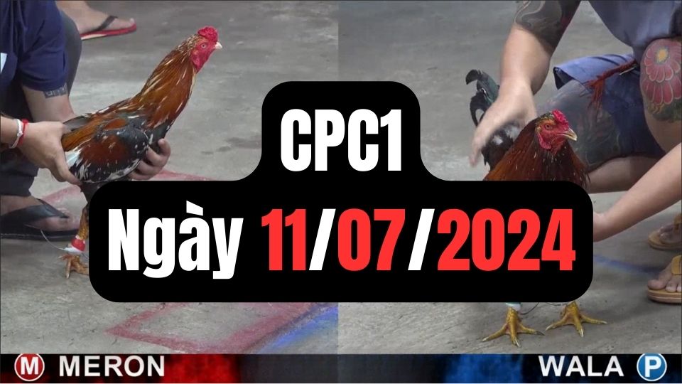 Đá gà thomo CPC1 ngày 11/07/2024